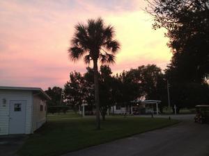Palm View Gardens Zephyrhills Fl 1