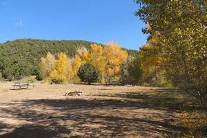 Heart Of The Rockies Campground Poncha Springs Co 2