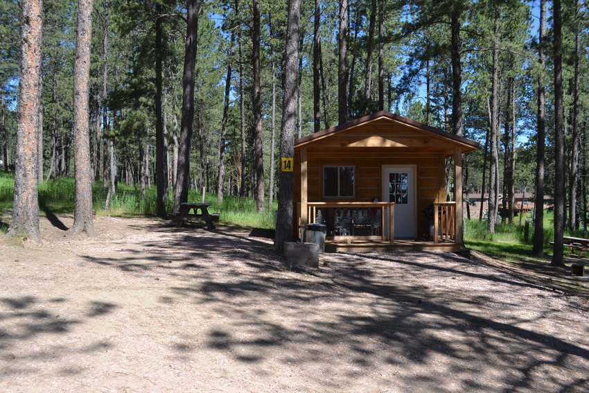 Big Pine Campground Custer Sd 4