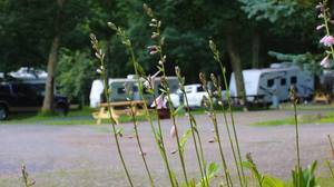 Bumble Bee Rv Park And Campground Accident Md 1