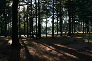 Pleasant River Campground West Bethel Me 2