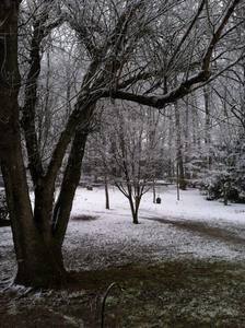 Woodlawn Campground Delmar Md 4