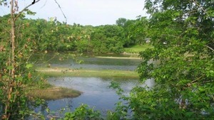 Arlington River Resort Newburg Mo 4