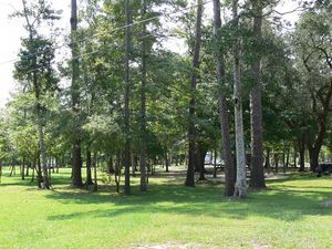 Magic River Resort Long Beach Ms 5