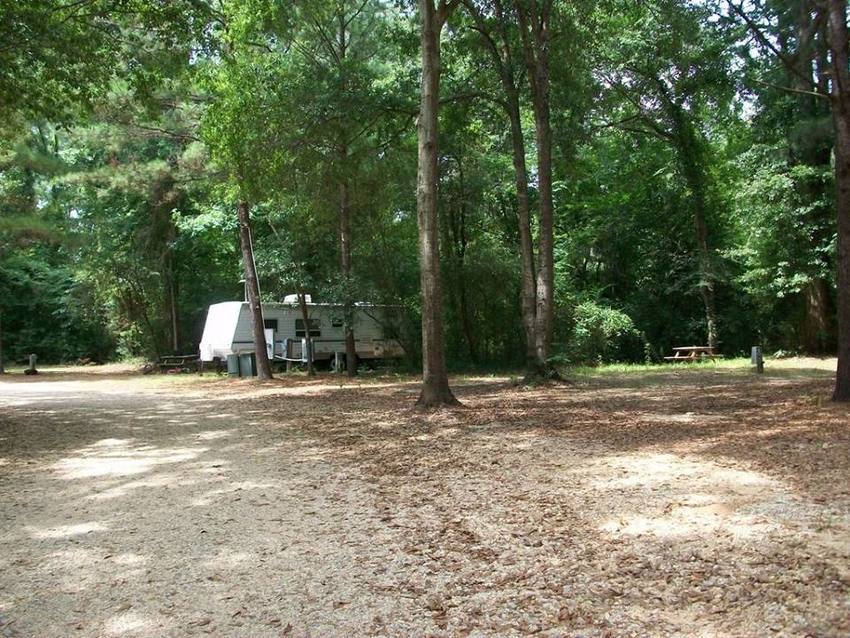 Mimosa Landing Campground Columbia Ms 2