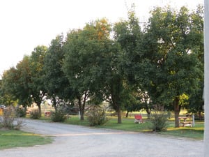Diamond S Rv Park And Campground Ronan Mt 5