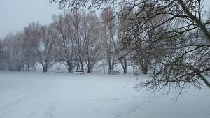 Sunrise Campground Bozeman Mt 3