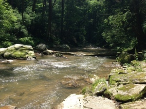 Otter Creek Campground Airville Pa 7