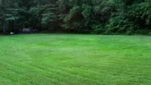 Ferndale Acres Lee Nh 1