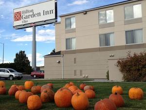 Hilton Garden Inn Elko   Casino Elko Nv 2