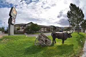Prospector Hotel   Gambling Hall   Rv Park Ely Nv 1