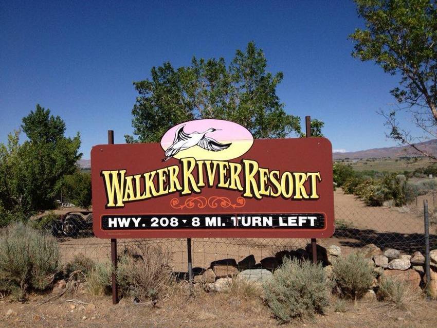 Walker River Resort Smith Valley Nv 3