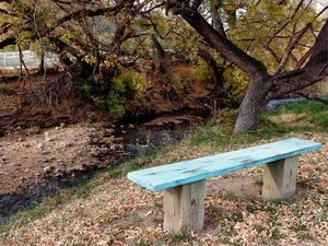 Deer Crossing Rv Park San Patricio Nm 5