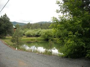 Eagle Creek Rv Resort Alto Nm 3