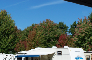 Cherry Grove Campground Wolcott Ny 1