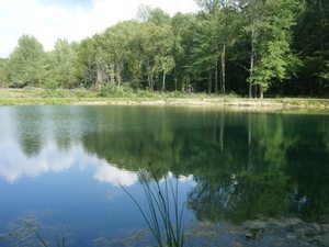 Arrow Point Campground Loudonville Oh 3