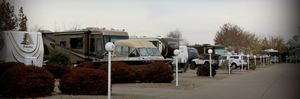 Blue Ox Rv Park Albany Or 3