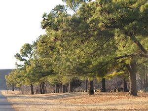 Eagles View Rv Park Sand Springs Ok 1