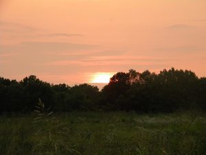 All Seasons Family Campground Cross Hill Sc 5