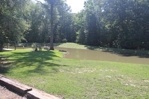 Little Cedar Creek Campground Ridgeway Sc 1