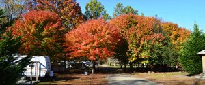 Crawford S Campground Murphy Nc 21