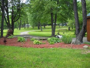 Tanglewood Camping Covington Pa 5