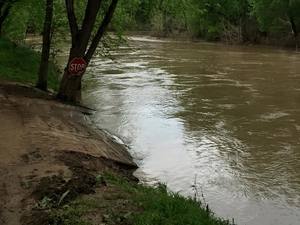 Red River Valley Canoe Adams Tn 4
