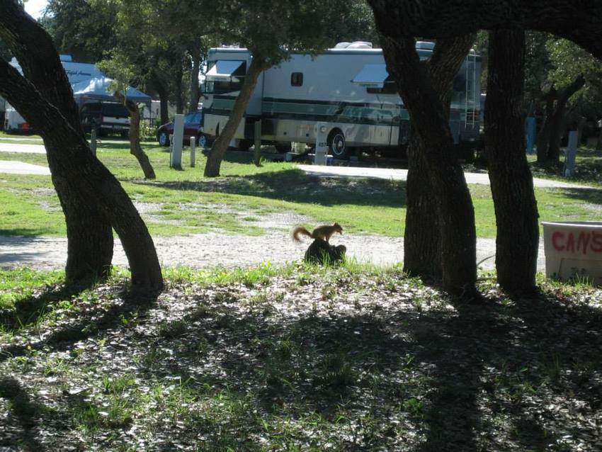 Bay View Rv Resort Rockport Tx 