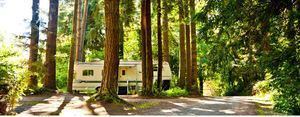 View Crest Lodge Trinidad Ca 3