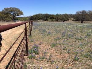 Hill Country Rv Park Fredericksburg Tx 1