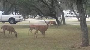 Lake Medina Rv Resort Lakehills Tx 4