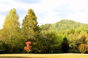 Ccg Mountain