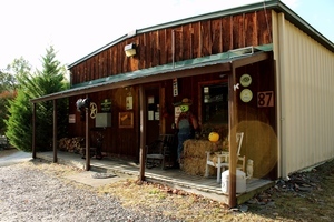 Ccg Storefront