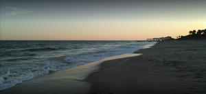 Edisto Beach State Park - Edisto Island, SC