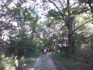 Img 20160805 182604