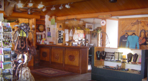 Wy36