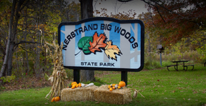 Nerstrand Big Woods State Park - Nerstrand, MN