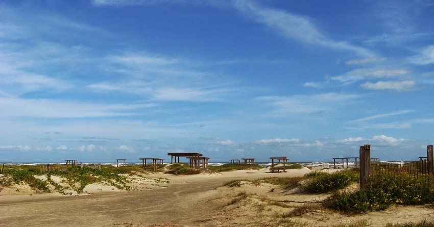 Mustang Island State Park   Header Copy