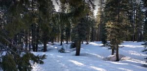 Aa