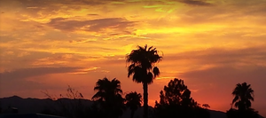 Ariz
