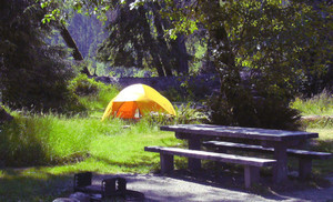 Kalaloch Campground 526d99128e2fb54cb500026d