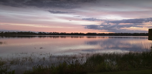 1 4