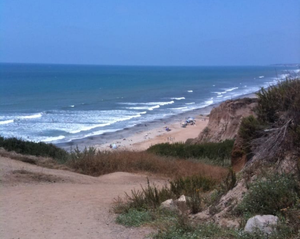 Bluff2