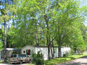 Northpine