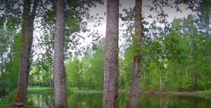 Passcreek2