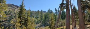 Chapman Creek Campground