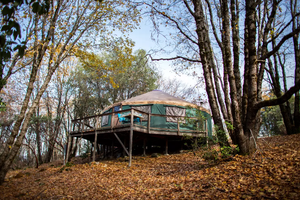 Chapman Creek Campground 4