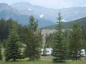 Canyon Creek Campground 3