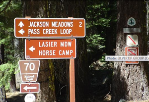 Silver Tip Group Campground 2