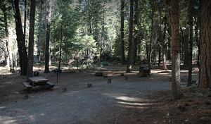 Stumpy Meadows Campground 2